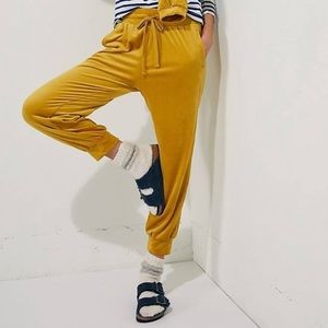 Anthropologie Saturday Sunday Merida Yellow Velvet Joggers